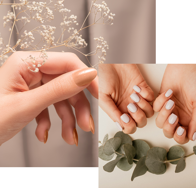 Perfect Manicure Perfect Manicure